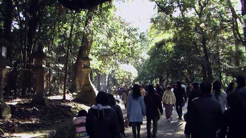 p070101_1.jpg p070101_1.jpg