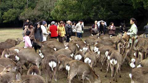 p070218_3.jpg p070218_3.jpg