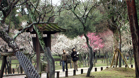 p070218_4.jpg p070218_4.jpg